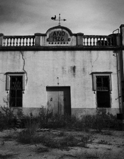 Donde bailan las ratas (primera parte) 2 WhatsApp Image 2025 08 27 at 00.20.09