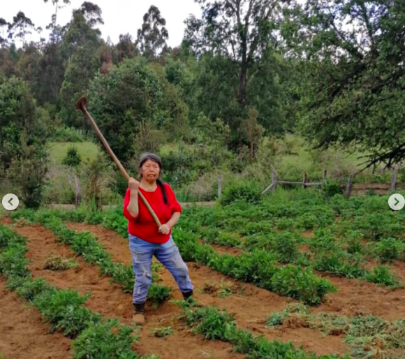 Director de Amnistía Internacional por Julia Chuñil: "Es muy complejo que, cuando se trata de personas mapuche, muchas veces existan investigaciones con irregularidades" 2 Captura de Pantalla 2025 10 03 a las 0.23.35