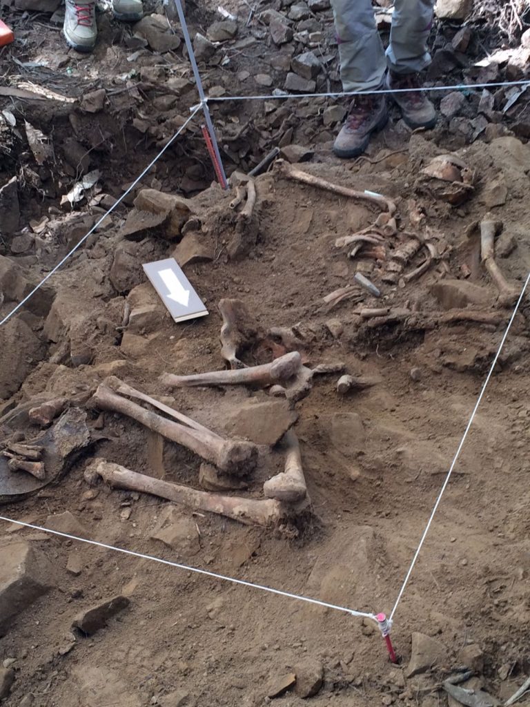 37111446036 cf58e5a823 o