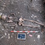 51634946573 7a17d339ef o 1