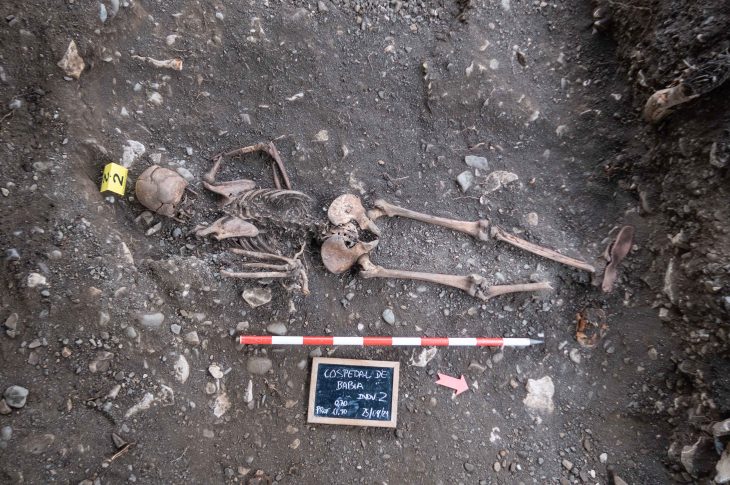 51634946573 7a17d339ef o 1