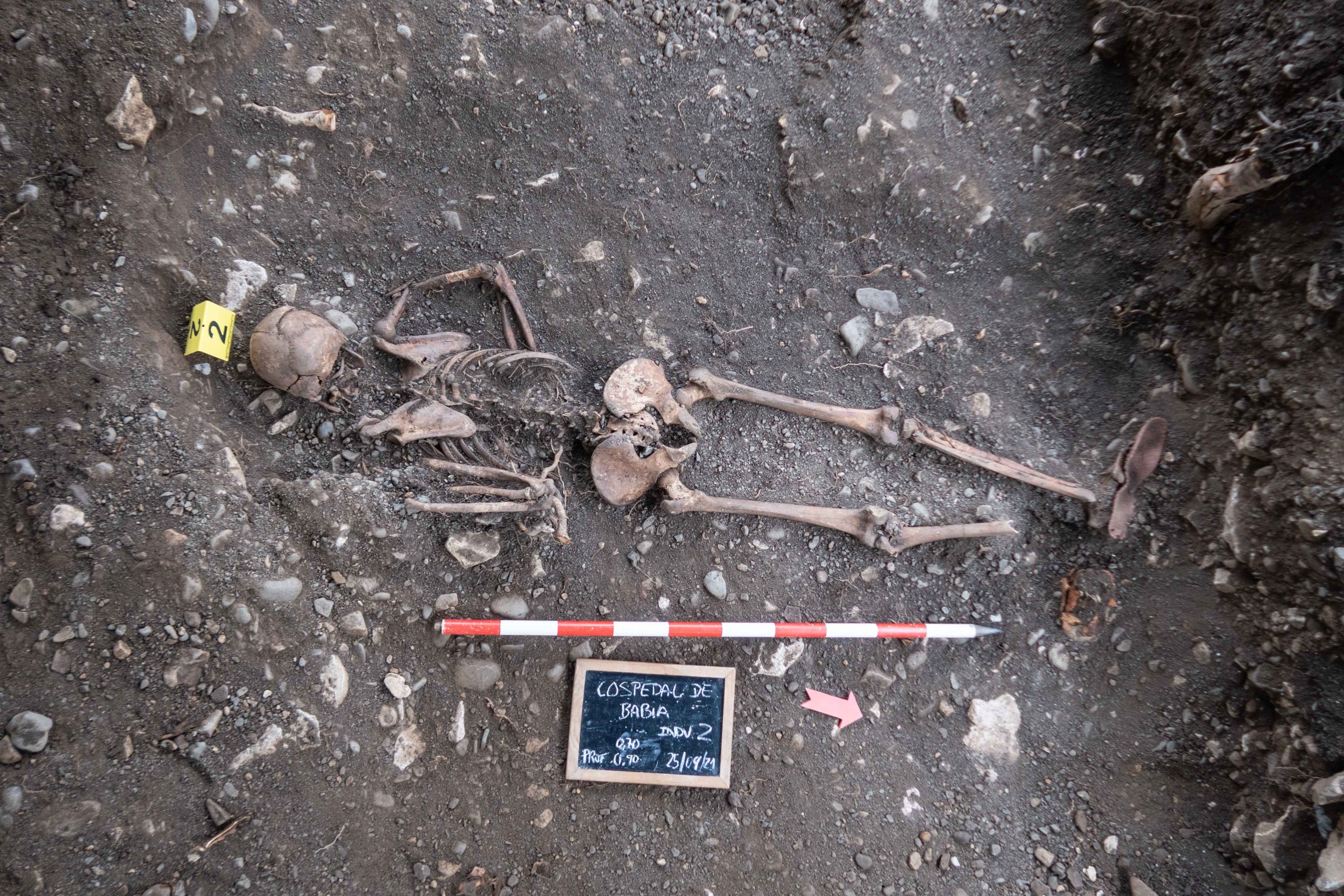 51634946573 7a17d339ef o 1 scaled