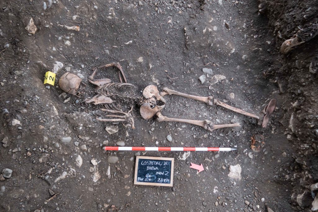 51634946573 7a17d339ef o