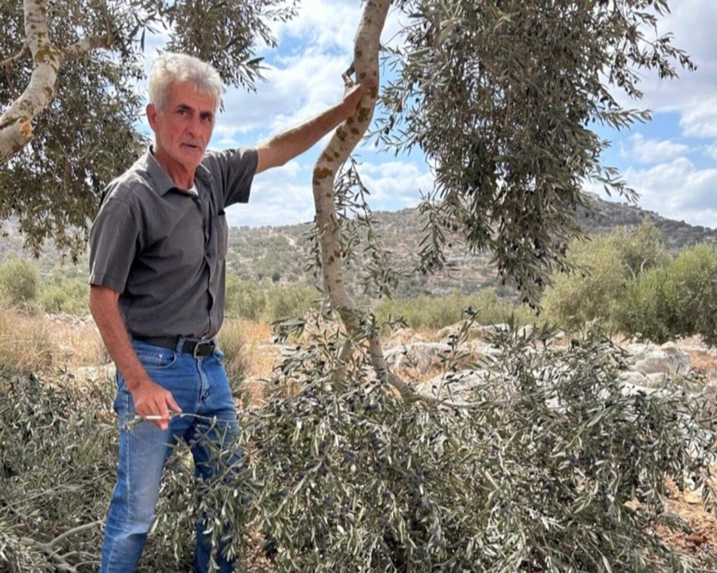 Palestinos enfrentan la peor ola de ataques de colonos israelíes en años: ocupación de tierras avanzó un 14% 2 HSU330