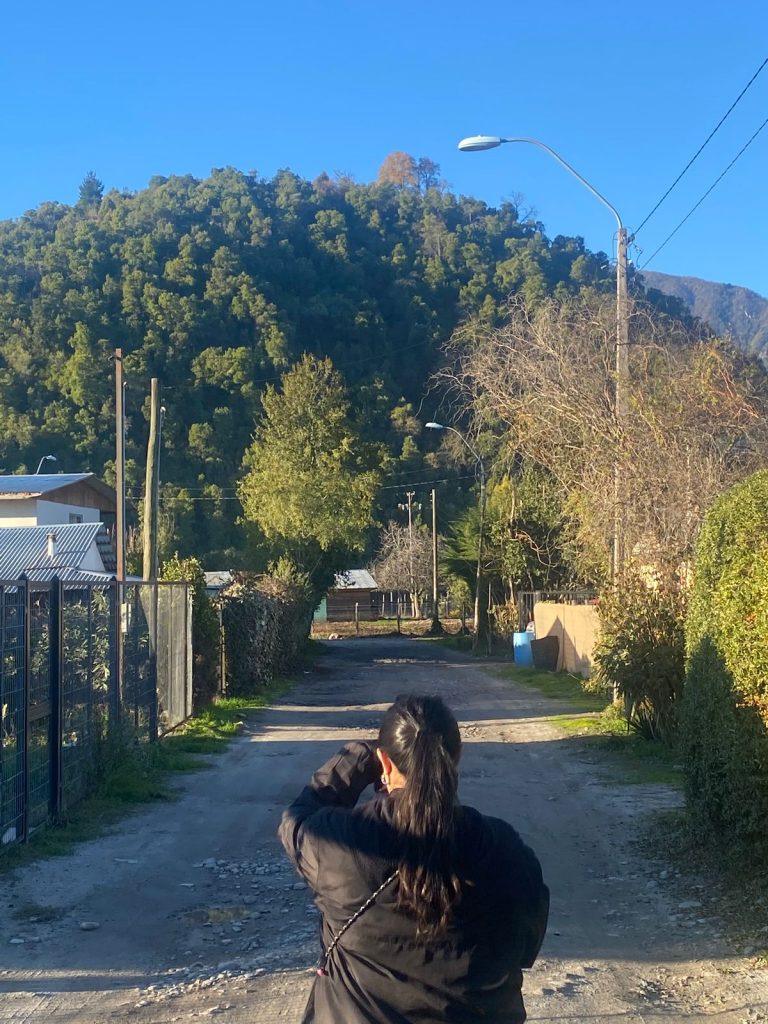 WhatsApp Image 2025 12 03 at 13.52.55