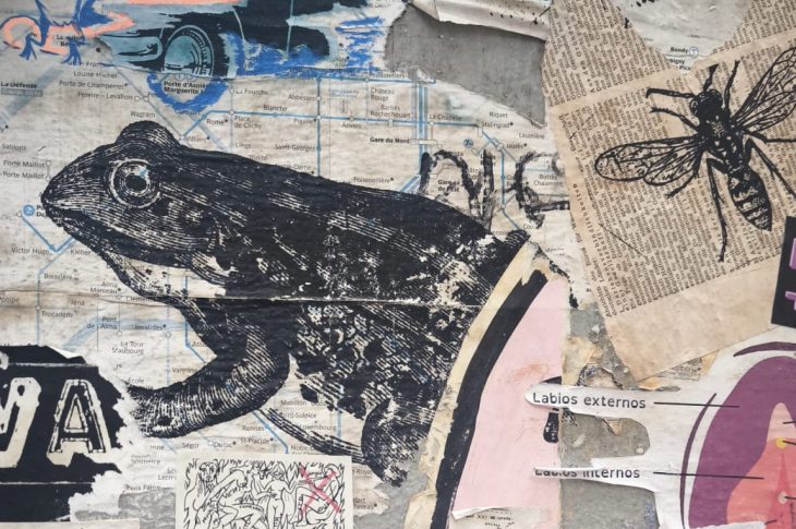 WhatsApp Image 2026 01 08 at 16.54.15 e1767889646242