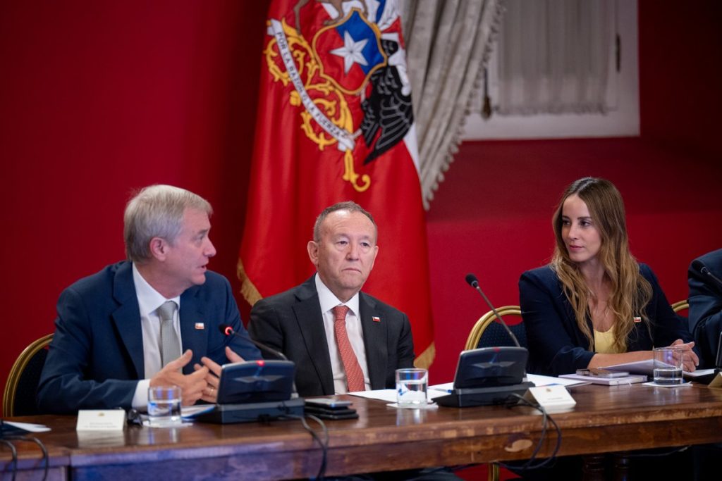 Chile no se cae a pedazos: el peligro de la "mileización" del debate público 1 1000038589