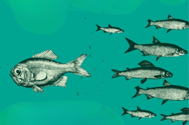 21XX BELL HOOKS Coberta PROVISIONAL 1 1