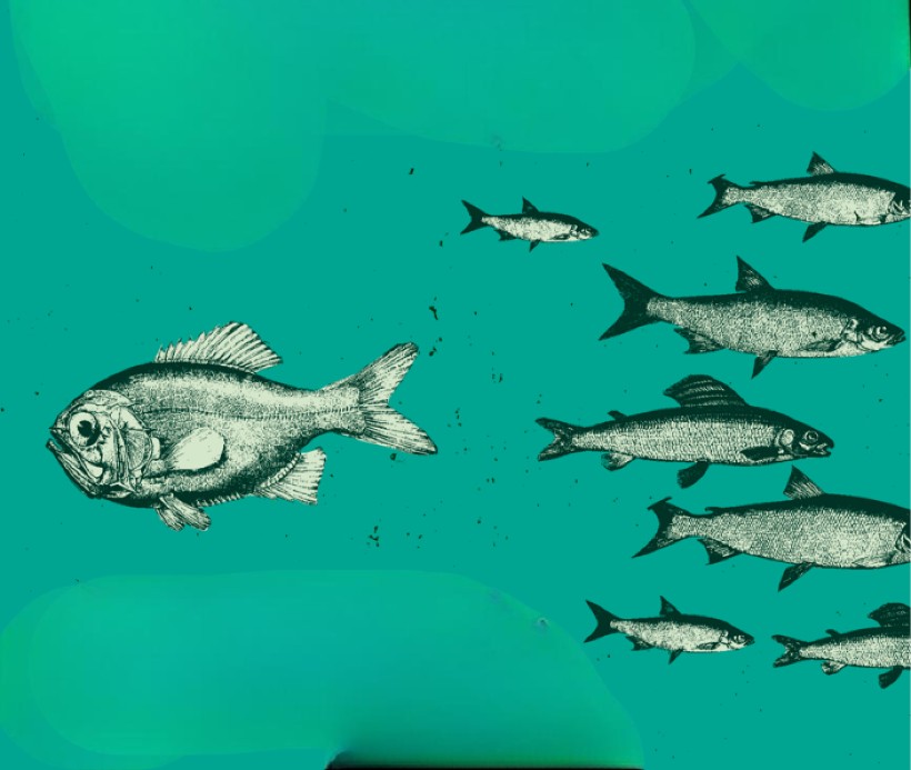 21XX BELL HOOKS Coberta PROVISIONAL 1 1