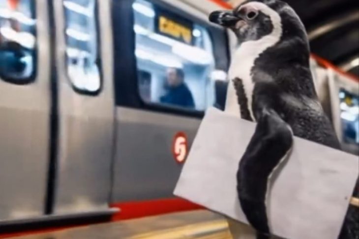 WhatsApp Image 2026 03 23 at 15