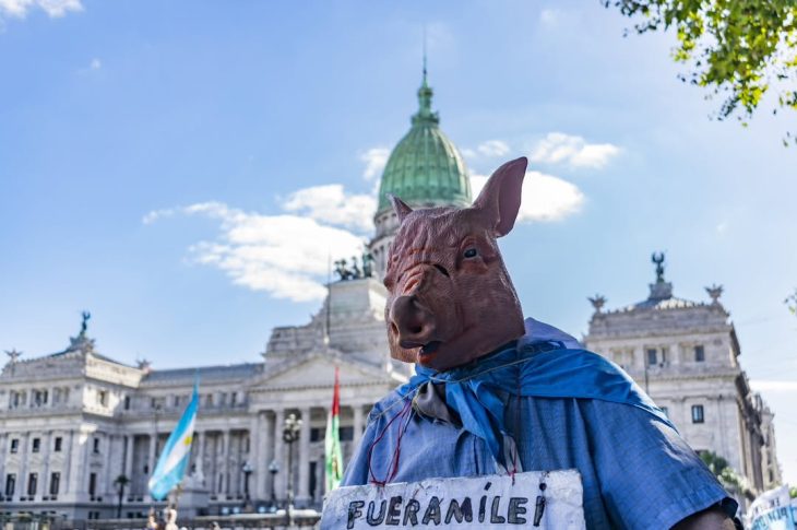 WhatsApp Image 2026 03 30 at 16.39.52