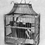 47. los suenos de encarcelamiento 600x679 1