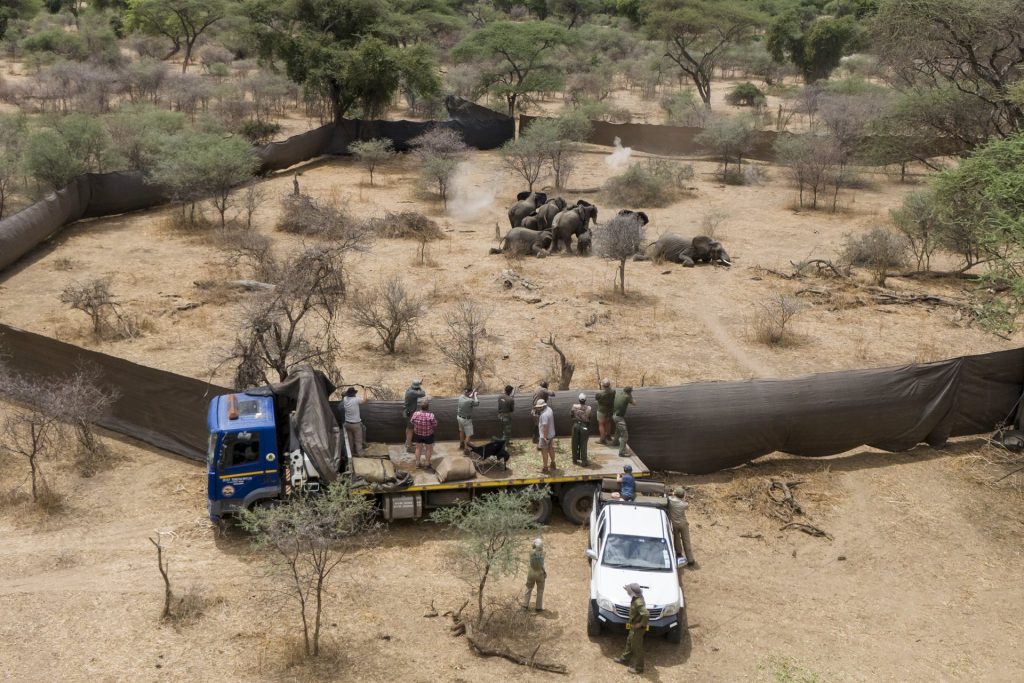 WPP 2026Contest Africa SIN HaldenKrog