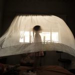 WPP 2026Contest SouthAmerica STO FerleyAOspina 01