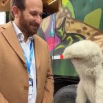 WhatsApp Image 2026 04 11 at 19.04.07