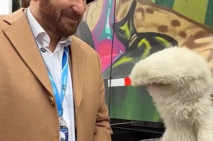 WhatsApp Image 2026 04 11 at 19.04.07