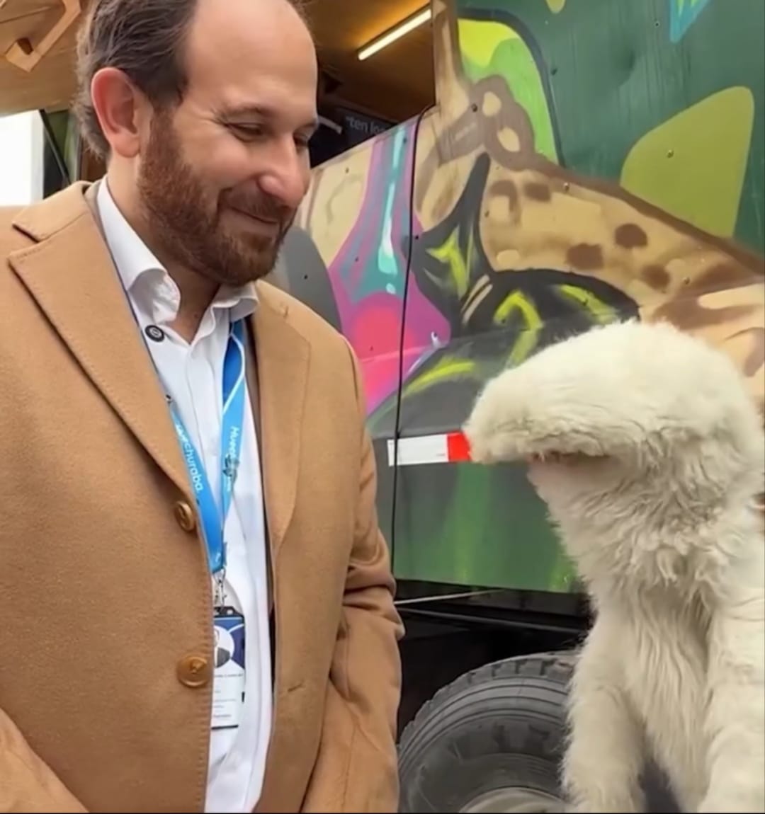 WhatsApp Image 2026 04 11 at 19.04.07