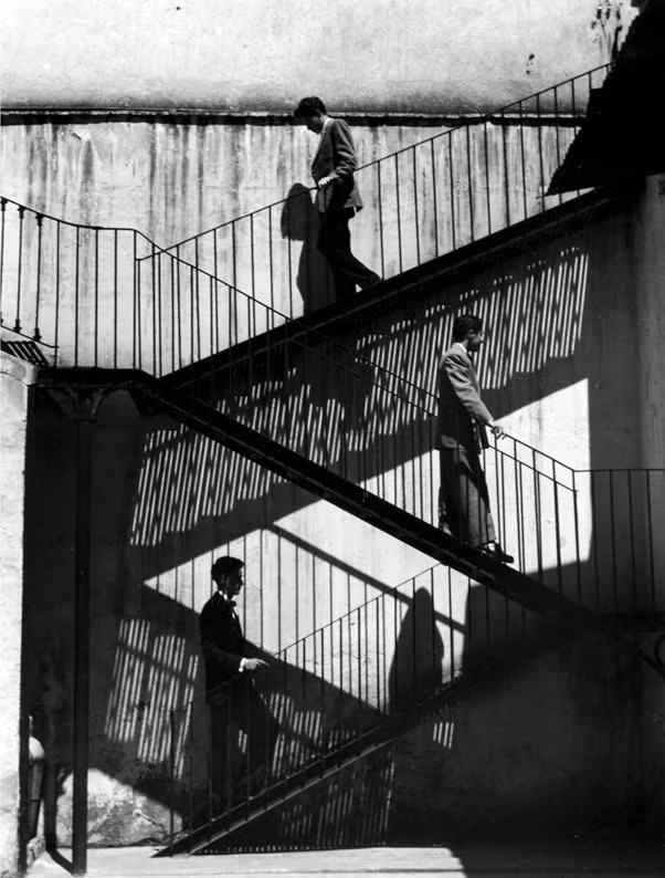 "¿Lo mejor de un hombre? Que sea gay": la crisis del amor heterosexual 2 lola alvarez bravo 3 original