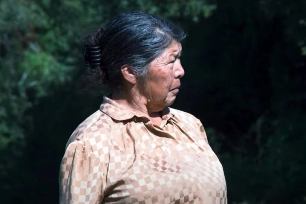 Fiscalía y hallazgo de restos óseos en predio aledaño a casa de Julia Chuñil: “Uno de ellos corresponde a origen humano” 1 mapuche cover 1200x800 1