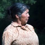 mapuche cover 1200x800 1