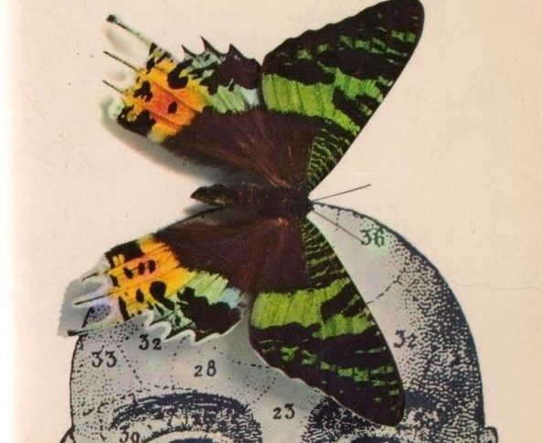 The Truth Behinds Psychedelic Drugs 1