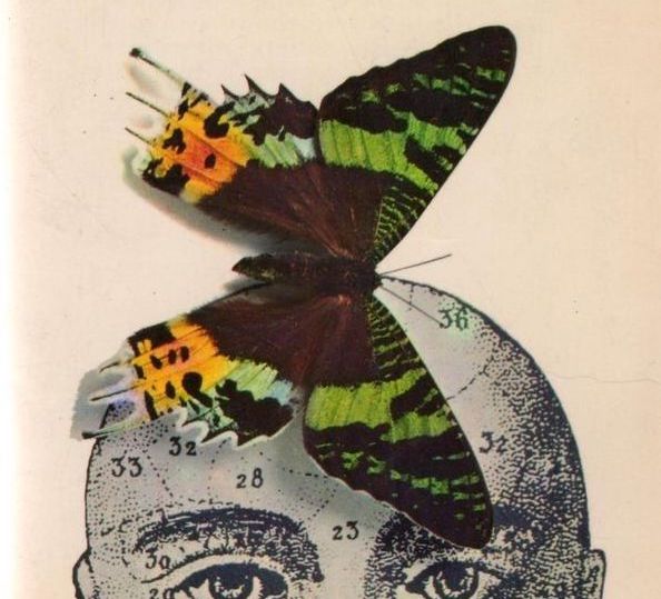 The Truth Behinds Psychedelic Drugs 1