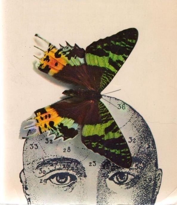 The Truth Behinds Psychedelic Drugs