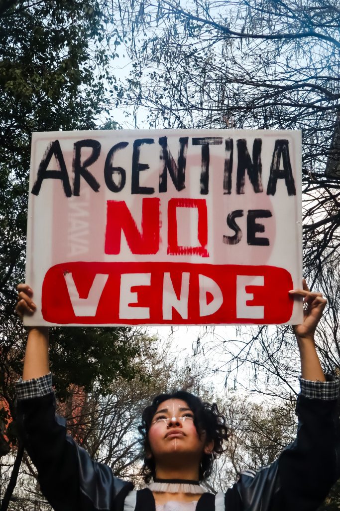 Día Mundial de la Fotografía: cinco miradas desde Chile y Argentina 3 IMG 2763