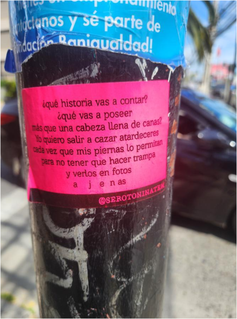 La calle me habla: una reflexión sobre stickers, afiches, stencil y otras intervenciones en la vía pública 7 1000123577