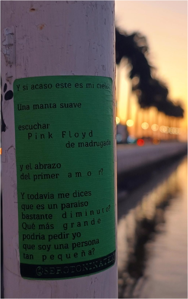 La calle me habla: una reflexión sobre stickers, afiches, stencil y otras intervenciones en la vía pública 3 1000123586